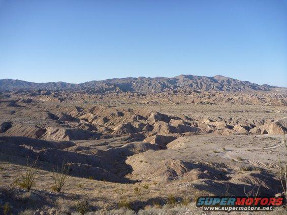 Desert landscape with mountains in the background and dry brush in the foreground