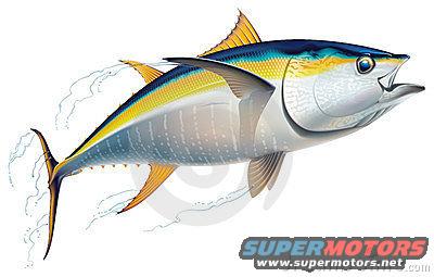 yellowfin tuna illustration with water splashes, SUPERMOTORS.NET logo at bottom right