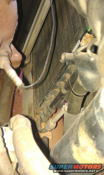 Close-up of car's radiator and hoses. Some rust is visible