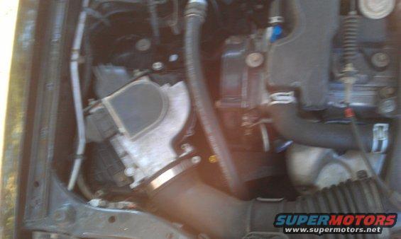 Engine bay with hoses and air intake components visible