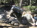 1986 Ford Bronco - This 1986 Ford Bronco is tackling a challenging off-road course with significant rock obstacles.