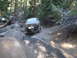 1986 Ford Bronco - A dark blue Ford Bronco navigates a challenging off-road trail with trees and rocks surrounding it.