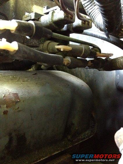 Close-up of engine hoses and electrical connectors