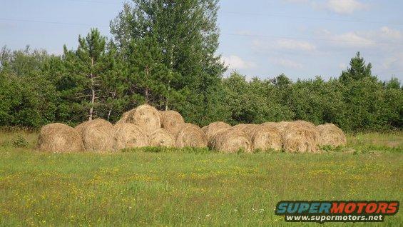 Round hay bales piled in a grassy field with trees and a cloudy sky