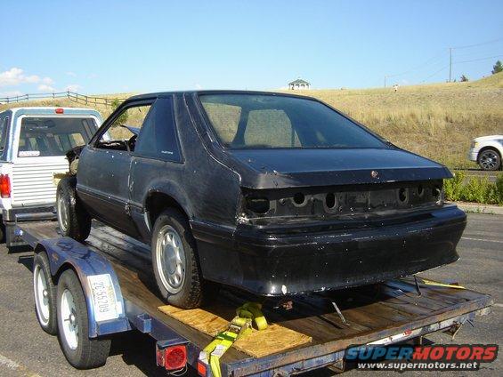 black 1987 Ford Mustang on trailer, missing taillights and bumper