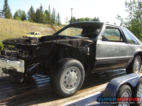 1987 Ford Mustang on a trailer, missing hood and engine components
