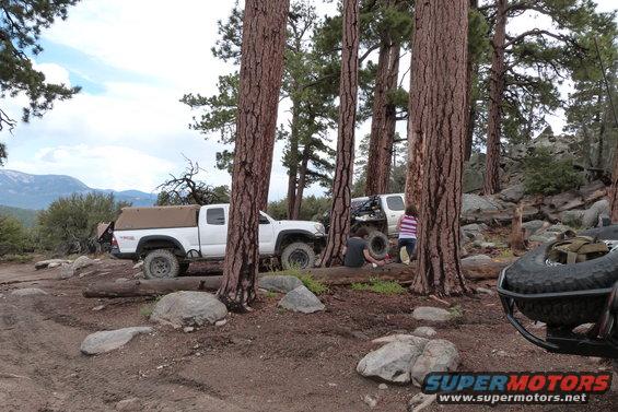 White Toyota Tacoma pickup truck with tan camper shell parked on dirt road among pine trees