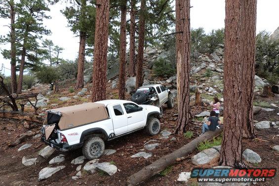 Two white Toyota trucks navigating a rocky, wooded trail with people watching