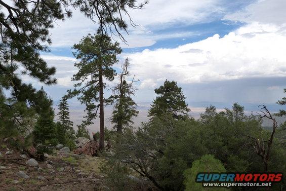 Trees and rocky ground in foreground, distant hazy landscape under cloudy sky