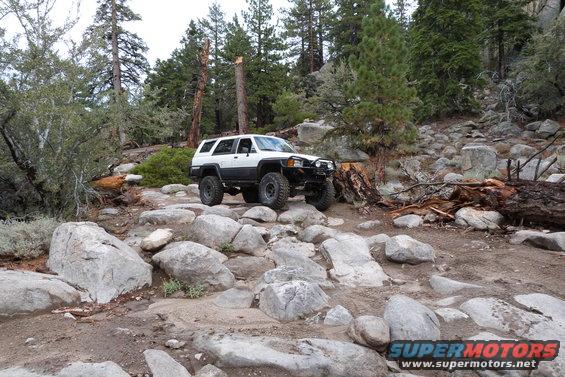 White Toyota 4Runner with off-road tires navigating a rocky trail in a forest