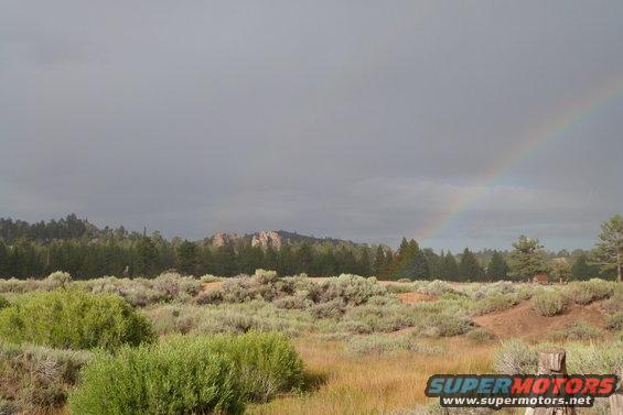 Overcast sky with a rainbow arching over a field and trees. A wooden fence post is in the foreground