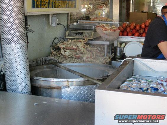 Seafood preparation area with crabs, scales, and cans of soda