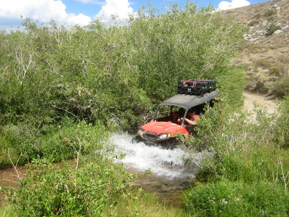 Red off-road vehicle with a cargo box on the roof drives through a shallow stream surrounded by green foliage