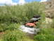 1996 Ford Bronco - Off-road vehicle navigates a stream in a wooded area.