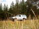 1996 Ford Bronco - A white SUV is parked in a field of dry grass, with a dense forest in the background.