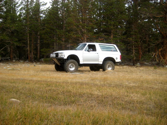 1996 Ford Bronco with aftermarket bumper and large tires parked in a grassy field with pine trees behind it