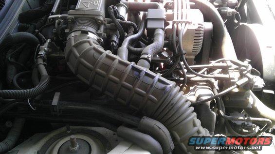 Engine bay with large ribbed intake hose and alternator