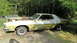 1973 Ford Torino - Side view of a 1973 Ford Torino coupe with its hood open, sitting in a grassy area.