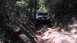 1989 Ford Bronco - A Jeep navigates a challenging off-road trail surrounded by dense forest.