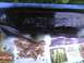 2003 Ford Crown Victoria - A close-up of a black car part with embossed lettering, partially obscuring produce and a newspaper.
