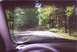 2000 Dodge Neon - Driving down a tree-lined road, the view from the driver's seat shows the asphalt stretching ahead.