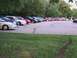 2000 Dodge Neon - A row of cars, including a white 2000 Dodge Neon, are parked in a lot with trees in the background.