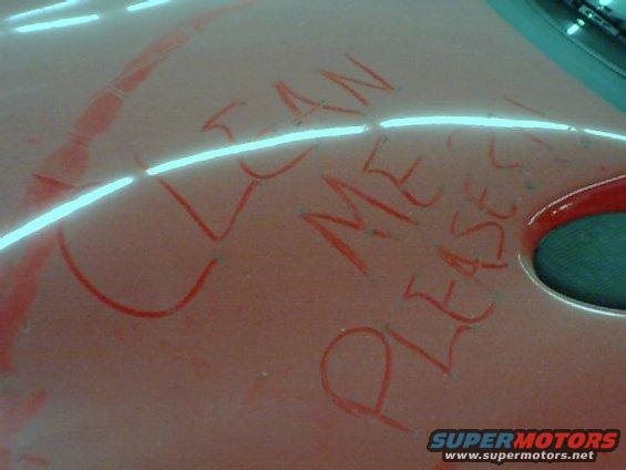 Red car hood with 'CLEAN ME PLEASE' written on it in red marker