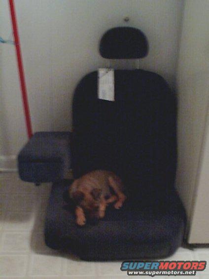 Dark fabric car seat with a small brown dog sleeping on the cushion and a tag hanging from the headrest