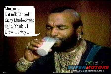 tt_milk1.jpg 
