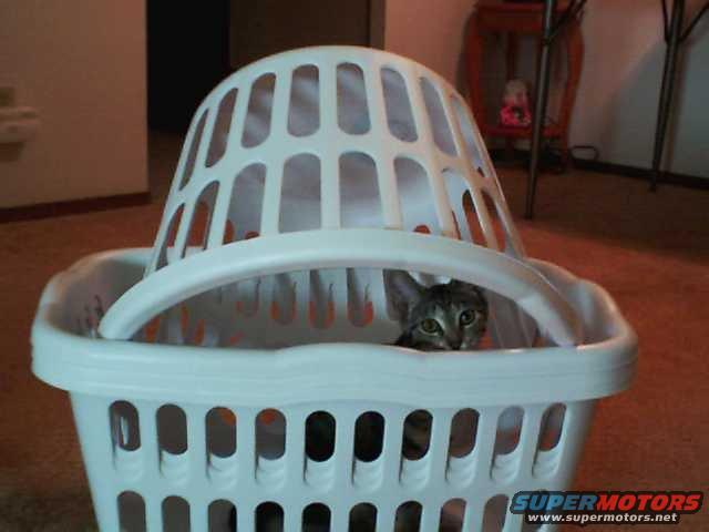 emmabasket1.jpg 