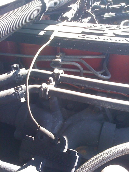 Engine hoses and metal lines secured with clamps against a red background