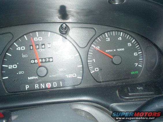 taurus-110703-13.jpg Speedo