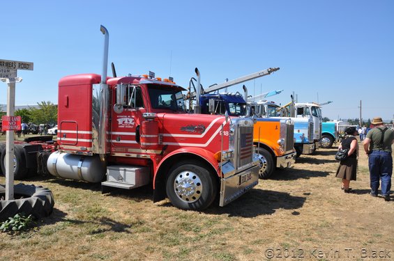 Several semi-trucks parked in a row on a sunny day, with people standing nearby