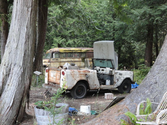 Rusty white 1962 International Scout 80 with hood up and doors open, parked next to a bus