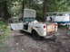 1962 International Scout 80 - This weathered International pickup truck, likely from the early 1960s, sits in a forest clearing with its hood and doors ajar.