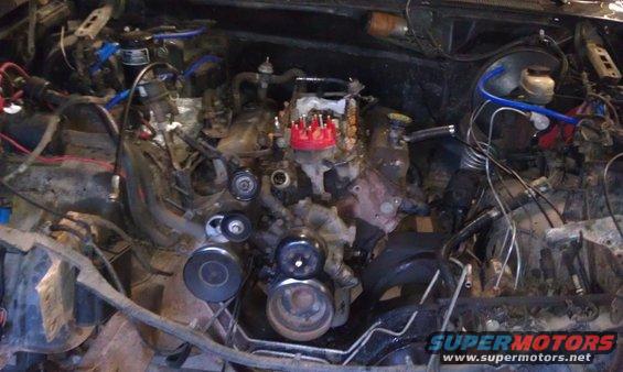 Engine bay with engine components, hoses, and wiring visible