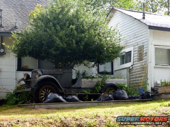 Old car with overgrown tree branches obscuring most of the body, parked next to a white building