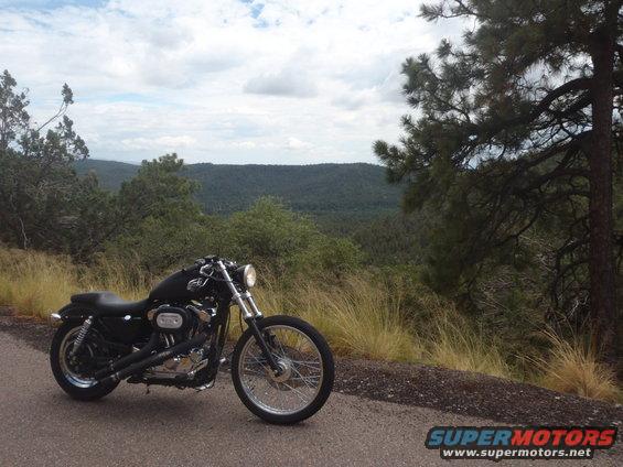 Black Harley-Davidson motorcycle parked on a roadside with a wooded hillside in the background