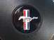 2006 Ford Mustang - Close-up of the iconic Ford Mustang running horse emblem on a steering wheel. The emblem features red, white, and blue stripes.