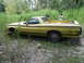 1974 Ford Ranchero - A yellow 1974 Ford Ranchero sits in an overgrown field with two people standing in the background.