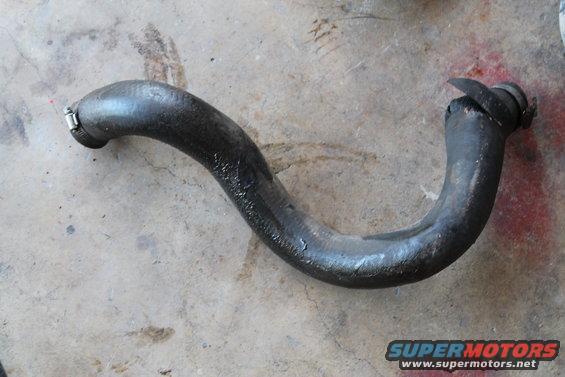 Curved black rubber hose with metal clamps on ends, lying on concrete