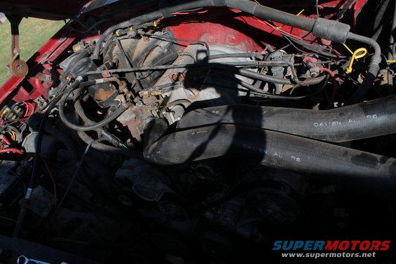 Red engine bay with black hoses and visible engine components. Text on hoses reads "OA1BN AL R6"