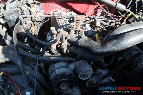 Engine bay with hoses and alternator visible
