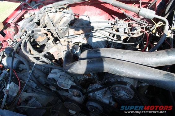 Engine bay with hoses, belts, and engine components visible. Red paint on the fender