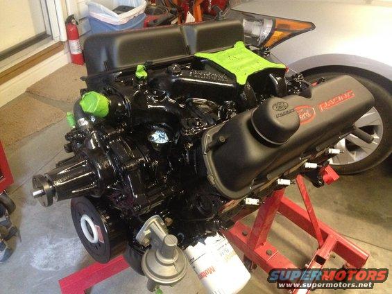 302-painted-1.jpg 65 Mustang 302 