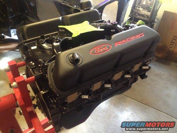 302-painted-3.jpg 65 Mustang 302 