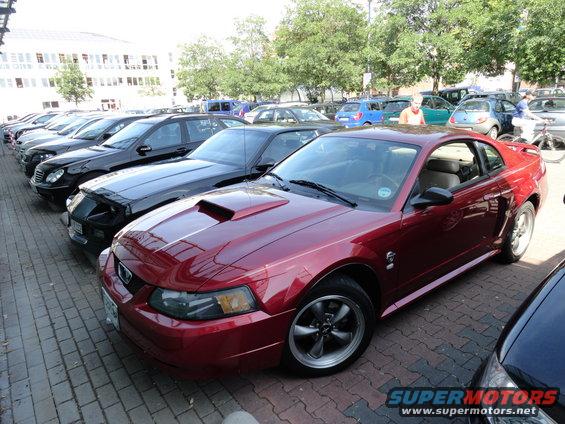 Red Ford Mustang parked in a row of cars. Hood scoop visible