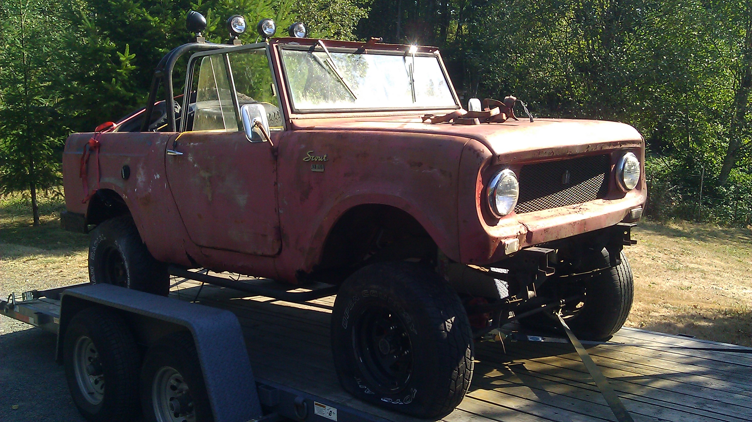 International Scout