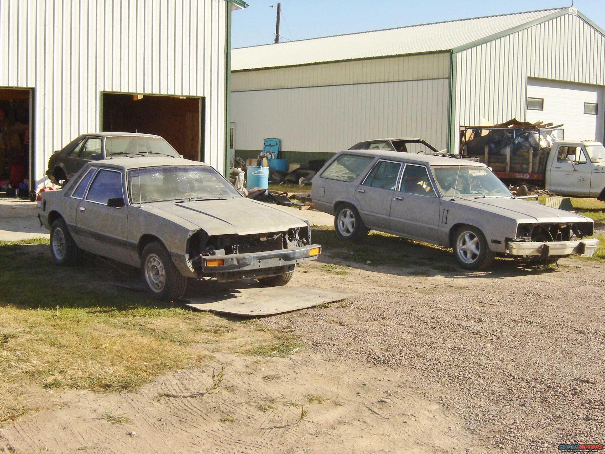 1982 Mercury Zephyr photo