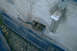 Passenger inside door handle: $5Passenger inside door handle assembly (the part the handle bolts to...